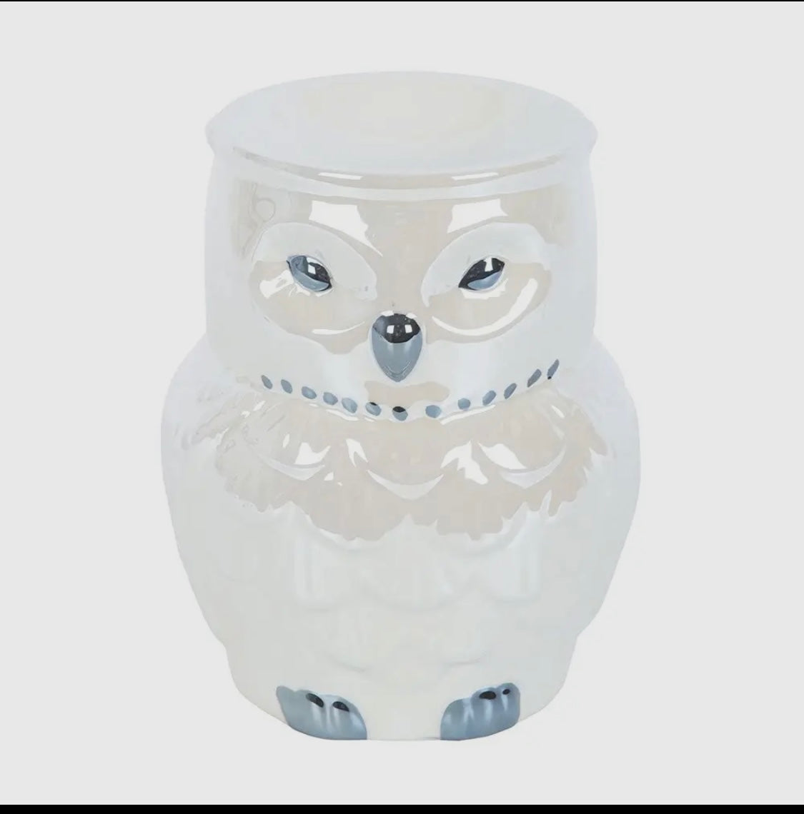 Hibou irisé