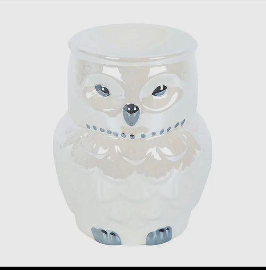 Hibou irisé